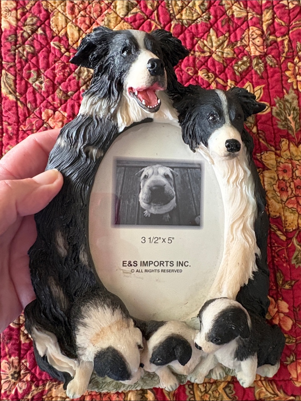 E&S Imports Black & White Border Collie Dog Photo Frame